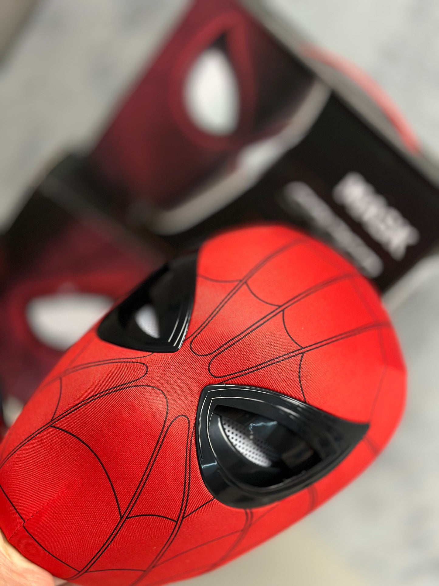 Spider Mask